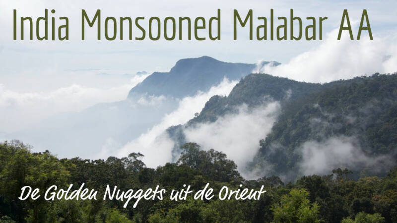 India Monsooned Malabar AA