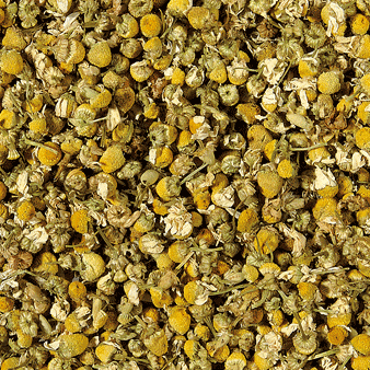 Chamomile