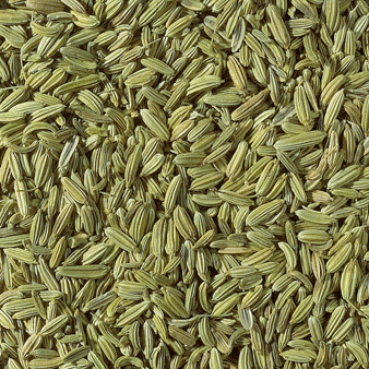 Fennel Seed