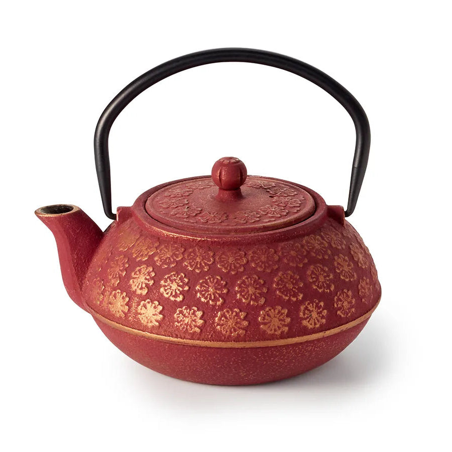 CHA-CULT - Gietijzeren Theepot "Guizhou" - 0,5 Ltr