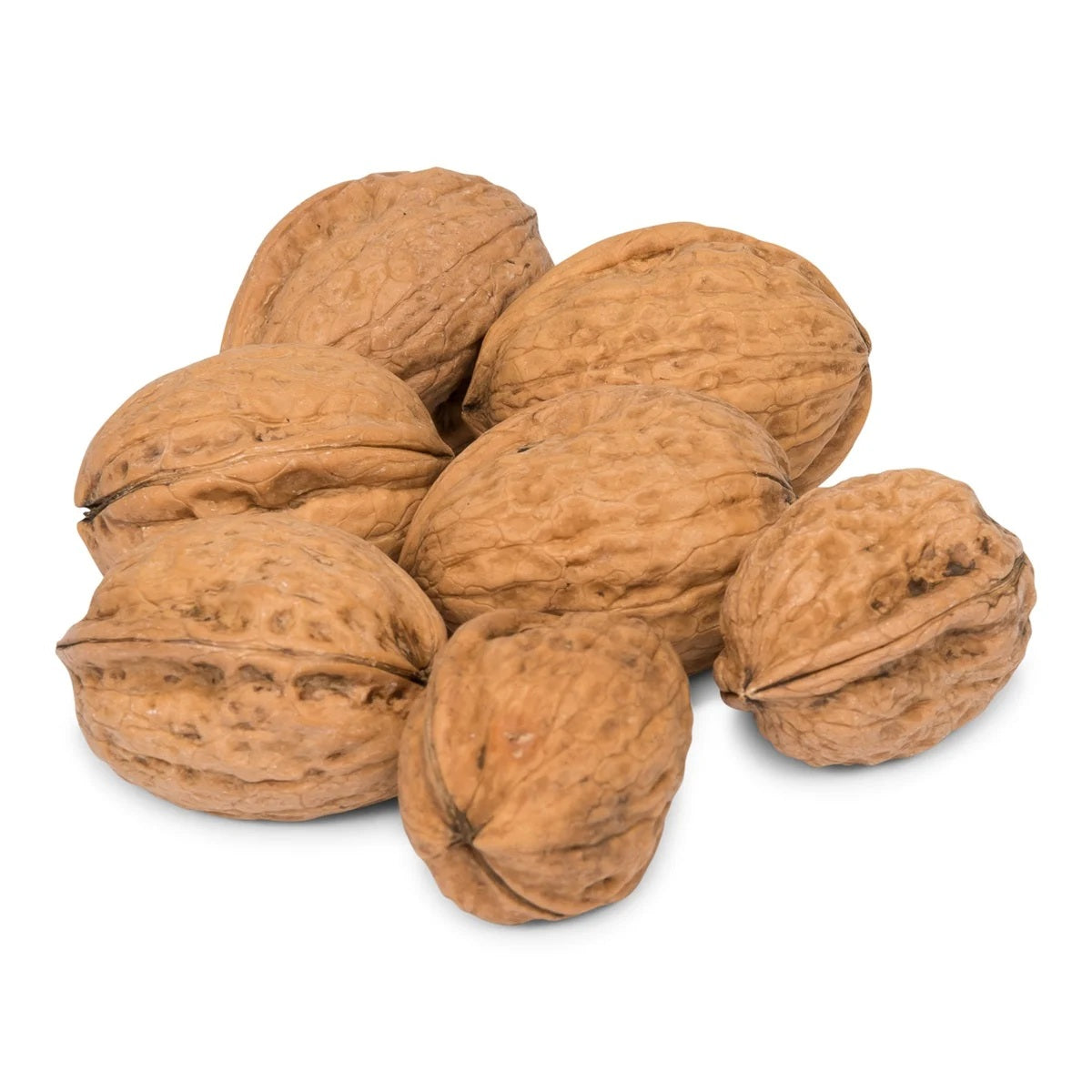 Walnoten in Dop - ca. 300 gr