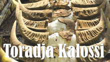Afbeelding in Gallery-weergave laden, Sulawesi Toradja Kalossi - Dark Roast
